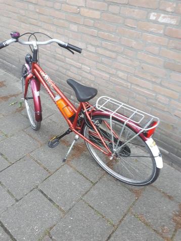 Batavus T Beagle beschikbaar voor biedingen