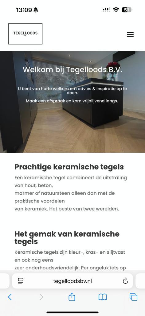 Professionele websites voor MKB-ers, Diensten en Vakmensen, Webdesigners en Hosting, Domeinregistratie, Webdesign, Webhosting
