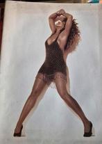 Tina Turner world tour 1990 concertboek, Ophalen of Verzenden, Zo goed als nieuw, Artiest
