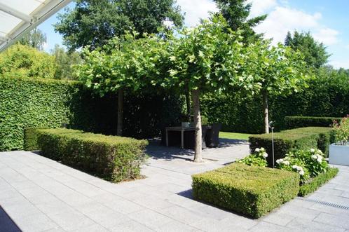 Lijngoot voor afwatering van een terras/oprit  (ca. 9 meter), Tuin en Terras, Overige Tuin en Terras, Gebruikt, Ophalen