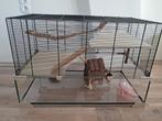 Hamster hok, Gebruikt, Minder dan 75 cm, Ophalen, Minder dan 60 cm