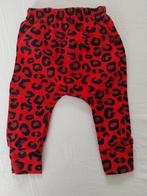 Babybroekje rood met zwart maat 74-80 NIEUW, Ophalen of Verzenden, Nieuw, Meisje, Broekje