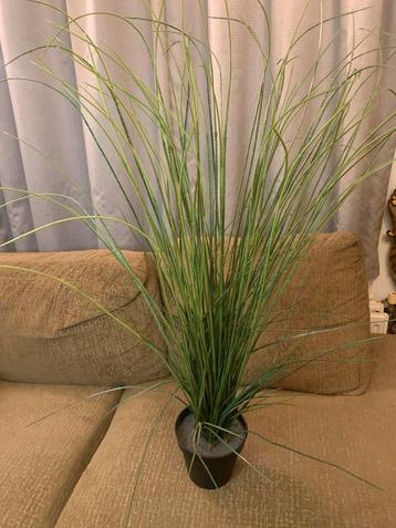 Kunstgrasplant in pot kunstplant groot beschikbaar voor biedingen