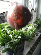 aparte kerstbal met leonische draad iets lijkt op planeet, Diversen, Kerst, Ophalen of Verzenden, Gebruikt