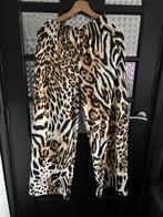 Magna broek tijger maat 40/42, Kleding | Dames, Maat 38/40 (M), Zwart, Ophalen of Verzenden, Zo goed als nieuw