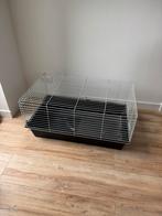 Konijn / cavia / kuiken kooi, Ophalen, Kooi, Konijn, Minder dan 60 cm