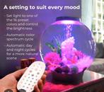 Biorb MCR 60 liter, Ophalen, Gebruikt, Leeg aquarium