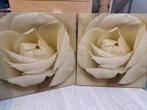 Schilderijen - Witte Roos - Set van 2, Huis en Inrichting, Ophalen of Verzenden, Zo goed als nieuw, Print, Minder dan 50 cm