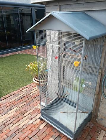 🐥vogel voliére kleur grijs🐥 beschikbaar voor biedingen