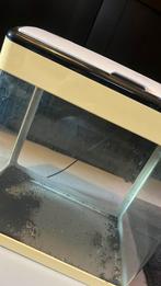 Aquarium + toebehoren, Ophalen, Gebruikt, Leeg aquarium