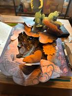 Popup boeken, Boeken, Ophalen of Verzenden, Prentenboek