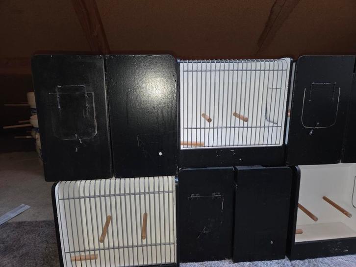 26 Tentoonstellings kooien incl. zie beschrijving, Dieren en Toebehoren, Vogels | Hokken en Kooien, Zo goed als nieuw, Overige typen