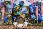 Tomorrowland W1 Vrijdag 18 Juli 8x, Tickets en Kaartjes