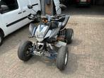 Bashan Quad