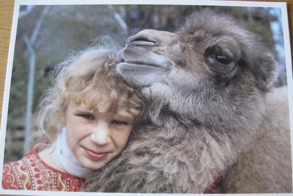 voor het kind - kind met kameel - 1982 - nieuw, Verzenden, 1980 tot heden, Ongelopen, Kinderen