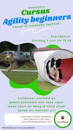 Agility training, Ophalen, Nieuw