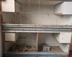 Kweekooi/ broedkooi, Dieren en Toebehoren, Ophalen, Hout, Broedkooi of Kweekkooi