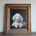 Prachtig olieverf schilderij van een hond, Antiek en Kunst, Ophalen of Verzenden