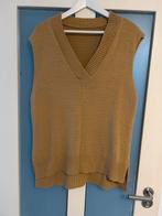 Beige Spencer Maat L, Ophalen of Verzenden, Zo goed als nieuw, Maat 42/44 (L), Beige