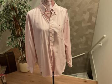 Tommy Hilfiger overhemd roze/blauw maat L beschikbaar voor biedingen