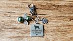 Sleutelhanger Bouvier des Flandres RVS met beschermengeltje, Verzenden, Nieuw, Dier of Natuur