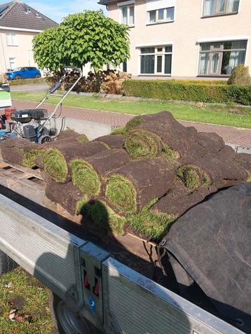 Graszoden 31 m2 € 1,50 per m2 beschikbaar voor biedingen