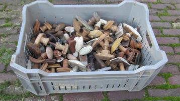 Partij oude houten deurknoppen, kast- of bedstee knoppen beschikbaar voor biedingen