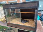Betonplex terrarium, Ophalen of Verzenden, Terrarium of Paludarium