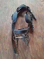 Één paards tuig voor marathonwagen, Ophalen, Overige soorten