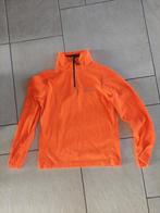 Skipully Brunotti 152, Ophalen