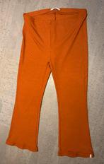 Didi oranje tricot broek maat 46, Maat 46/48 (XL) of groter, Ophalen of Verzenden, Lang, Gedragen