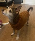 PARTY VAN 57 HANDGEBREIDE HONDENTRUITJES. INCL. VERZ. K., Ophalen of Verzenden, Nieuw, Hondentrui