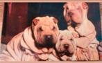 Ansichtkaart honden. Gelopen, Ophalen of Verzenden, 1980 tot heden, Hond of Kat
