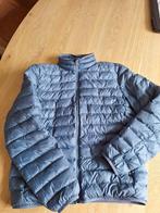 Zomerjas, Ophalen, Blauw, Tommy Hilfiger, Overige maten