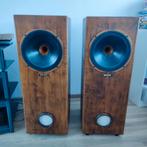 Tannoy luidsprekers, Gebruikt, 120 watt of meer, Front, Rear of Stereo speakers, Ophalen
