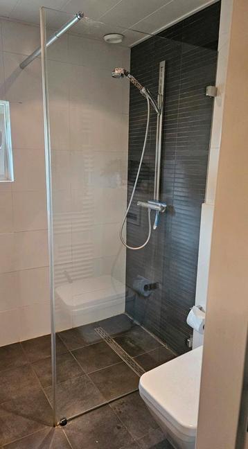 Glazen douchewand 100x200cm beschikbaar voor biedingen