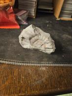 Fossiele Steen met Ammonieten, Verzamelen, Mineralen en Fossielen, Ophalen of Verzenden, Fossiel