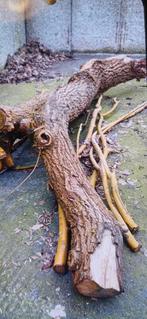 Brandhout, Tuin en Terras, Haardhout, Minder dan 3 m³, Ophalen of Verzenden