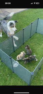 Puppy ren of knaagdier ren hok, Dieren en Toebehoren, Knaagdieren en Konijnen | Hokken en Kooien, 110 cm of meer, Zo goed als nieuw