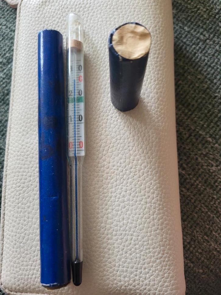 Vintage Thermometer met Koker, Antiek en Kunst, Antiek | Gereedschap en Instrumenten, Ophalen of Verzenden