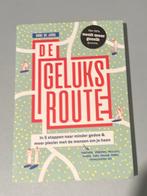 Anne de Jong - De geluksroute, Anne de Jong, Ophalen of Verzenden, Ontwikkelingspsychologie, Zo goed als nieuw