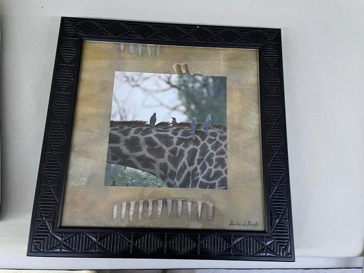 Afrikaanse Dieren Prints - Set van 3, Huis en Inrichting, Woonaccessoires | Schilderijen, Tekeningen en Foto's, Zo goed als nieuw