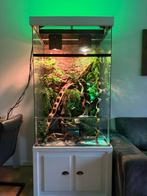 Terrarium, Dieren en Toebehoren, Reptielen en Amfibieën | Toebehoren, Ophalen, Zo goed als nieuw, Terrarium of Paludarium