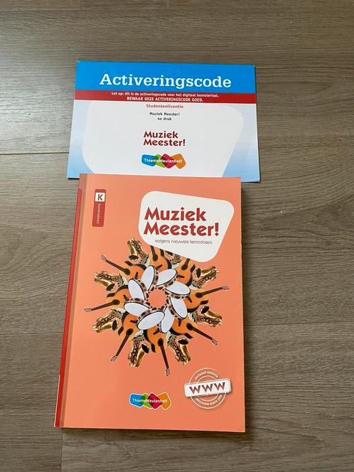 Rinze van der Lei - Muziek Meester!, Boeken, Studieboeken en Cursussen, Zo goed als nieuw, HBO, Alpha, Ophalen of Verzenden