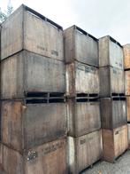 Kuubskisten gebruikt, Ophalen of Verzenden, Gehele jaar, Volle zon, Bloembol