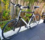 Hybride Racefiets. Giant Rapid 4. XL. Sportfiets. Herenfiets, Ophalen, 28 inch, Giant, Zo goed als nieuw