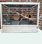 Hamsterkooi / knaagdierkooi "Ferplast Hamsterville" + inhoud, Dieren en Toebehoren, Knaagdieren en Konijnen | Hokken en Kooien