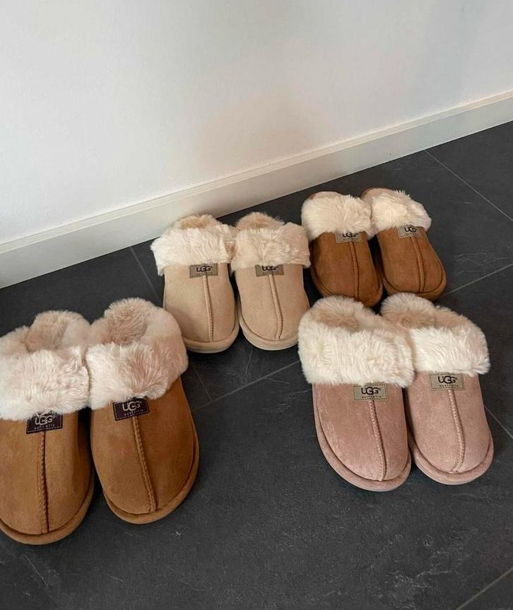 Dames en heren uggs pantoffels, Kleding | Dames, Schoenen, Nieuw, Ophalen of Verzenden