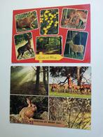 Ansichtkaarten Groeten uit Wezep dieren natuur per stuk bied, Verzamelen, Ansichtkaarten | Dieren, Ophalen of Verzenden, 1980 tot heden