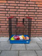 Knaagdieren kooi, Dieren en Toebehoren, Minder dan 60 cm, Kooi, ., Ophalen of Verzenden